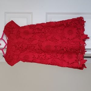 Beautiful lace holiday dress